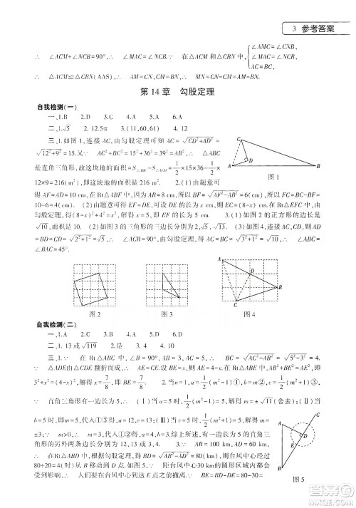 大象出版社2020寒假作业本八年级数学英语物理地理生物学合订本答案