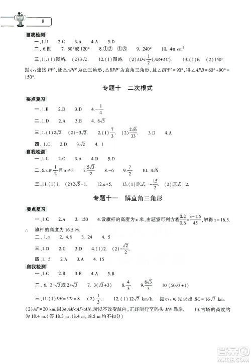 大象出版社2020数学寒假作业本九年级通用版答案