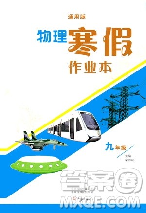 大象出版社2020物理寒假作业本九年级通用版答案