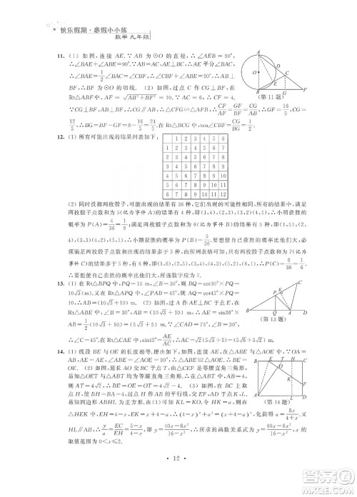 江苏凤凰科学技术出版社2020快乐假期寒假小小练九年级语文数学英语物理化学合订本答案