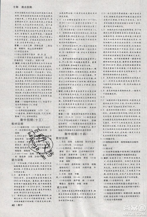 光明日报出版社2020年衡水假期寒假作业高一生物参考答案