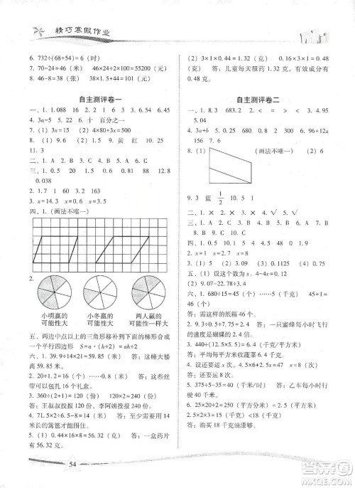 云南美术出版社2020精巧寒假作业专题训练与期末总复习五年级数学人教版答案