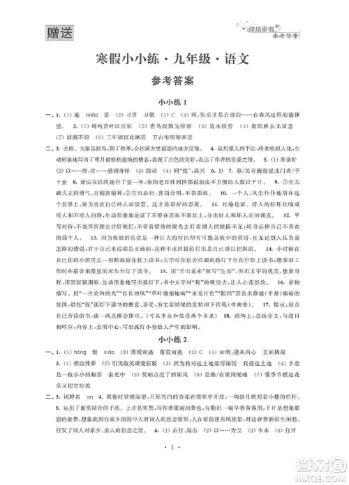 江苏凤凰科学技术出版社2020寒假小小练九年级语文数学英语物理化学合订本答案