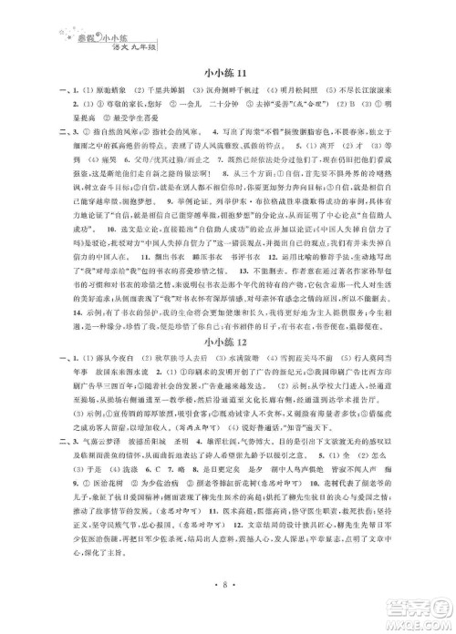江苏凤凰科学技术出版社2020寒假小小练九年级语文数学英语物理化学合订本答案
