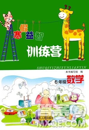 江苏人民出版社2020寒假益智训练营六年级数学答案 江苏人民出版社2020寒假益智训练营六年级数学答案