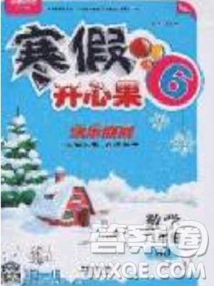 2020年全能测控寒假开心果六年级数学RJ人教版参考答案