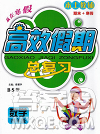 2020年本土教辅赢在寒假高效假期总复习四年级数学北师版答案 2020年本土教辅赢在寒假高效假期总复习四年级数学北师版答案