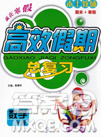 2020年本土教辅赢在寒假高效假期总复习二年级数学人教版答案