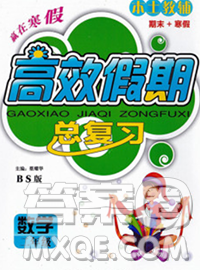 2020年本土教辅赢在寒假高效假期总复习二年级数学北师版答案