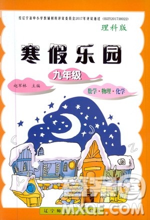 辽宁师范大学出版社2020年寒假乐园九年级理科版参考答案