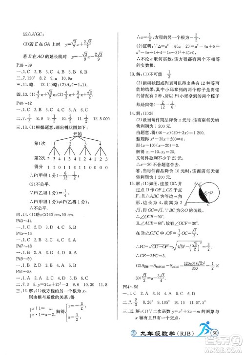 延边教育出版社2020快乐假期寒假作业九年级数学RJB版答案