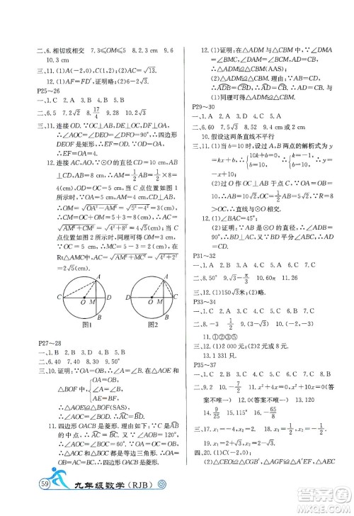 延边教育出版社2020快乐假期寒假作业九年级数学RJB版答案