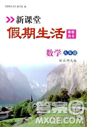 北京教育出版社2020新课堂假期生活寒假用书九年级数学北师大版答案