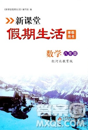 北京教育出版社2020新课堂假期生活寒假用书八年级数学河北教育版答案
