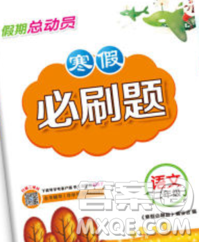 2020年假期总动员寒假必刷题二年级语文人教版答案 2020年假期总动员寒假必刷题二年级语文人教版答案