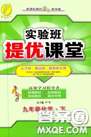 江苏人民出版社2020实验班提优课堂九年级化学下册沪教SHJY版答案 江苏人民出版社2020实验班提优课堂九年级化学下册沪教SHJY版答案