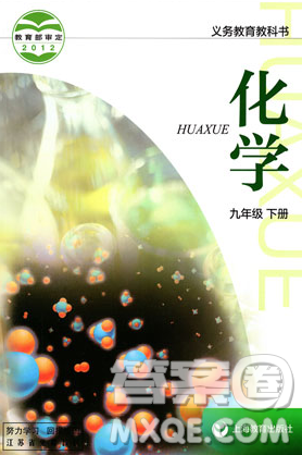 上海教育出版社2020年义务教育教科书九年级化学下册沪教版教材习题答案