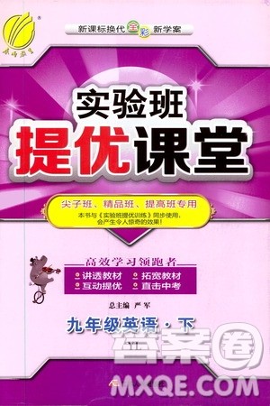 江苏人民出版社2020实验班提优课堂九年级英语下册译林版YL答案