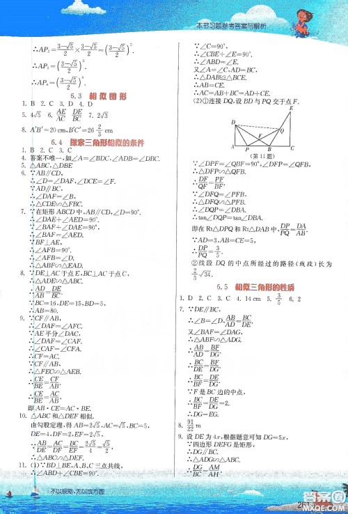江苏人民出版社2020实验班提优课堂九年级数学下册江苏科教版答案