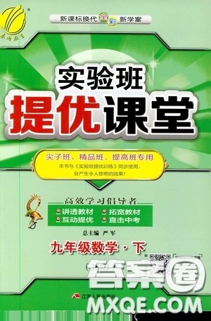 江苏人民出版社2020实验班提优课堂九年级数学下册江苏科教版答案
