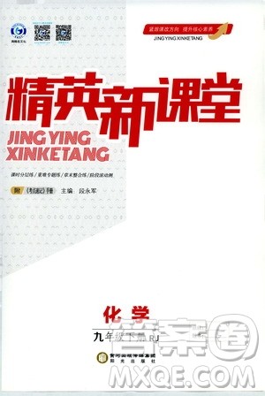 阳光出版社鸿鹄志文化2020精英新课堂九年级化学下册人教版答案 阳光出版社鸿鹄志文化2020精英新课堂九年级化学下册人教版答案
