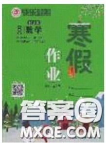 延边教育出版社2020年快乐假期寒假作业八年级数学人教版参考答案 延边教育出版社2020年快乐假期寒假作业八年级数学人教版参考答案