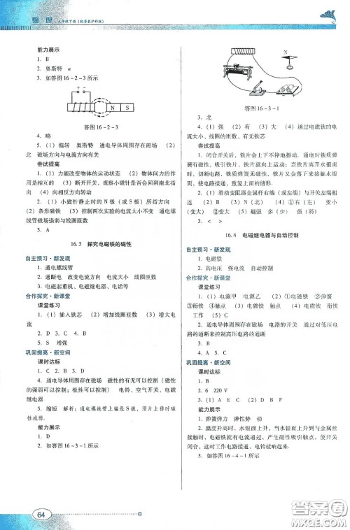 广东教育出版社2020南方新课堂金牌学案九年级物理下册粤教沪科版答案