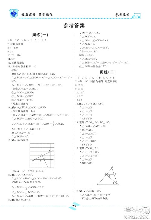 天津人民出版社2020年一飞冲天课时作业七年级下册数学周练参考答案