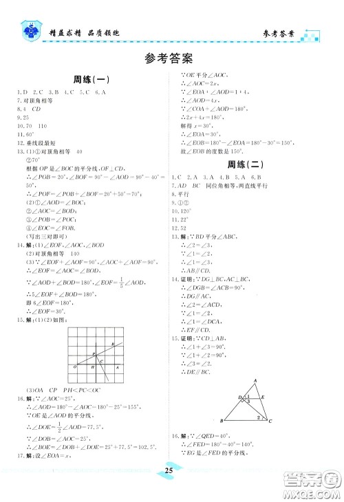 天津人民出版社2020年一飞冲天课时作业七年级下册数学周练参考答案