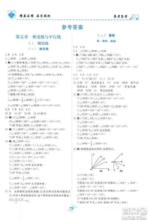 天津人民出版社2020年一飞冲天课时作业七年级下册数学参考答案