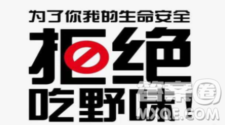 敬畏自然拒绝野味作文800字 敬畏自然拒绝野味800字作文 敬畏自然拒绝野味作文800字 敬畏自然拒绝野味800字作文