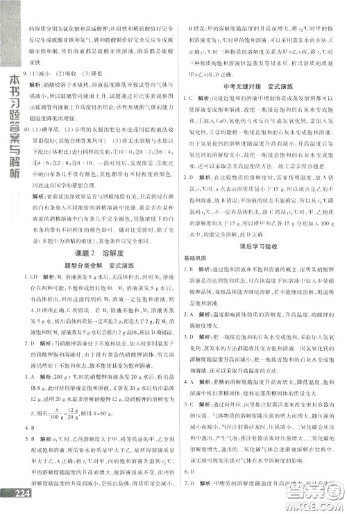 2020年万向思维倍速学习法九年级化学下人教版参考答案