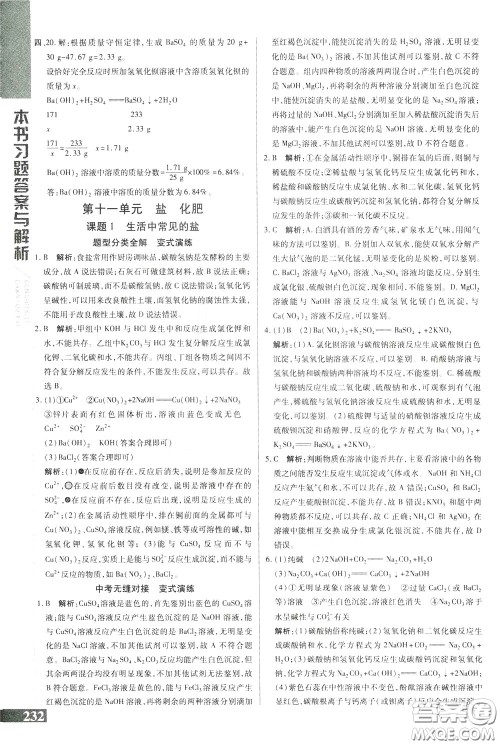 2020年万向思维倍速学习法九年级化学下人教版参考答案