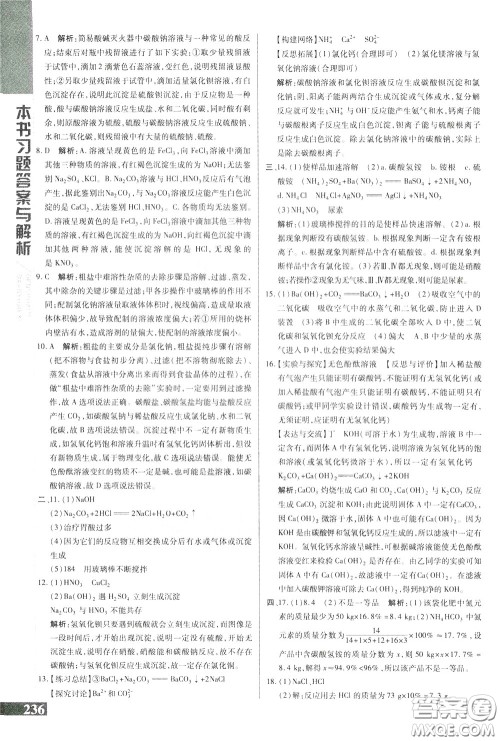 2020年万向思维倍速学习法九年级化学下人教版参考答案