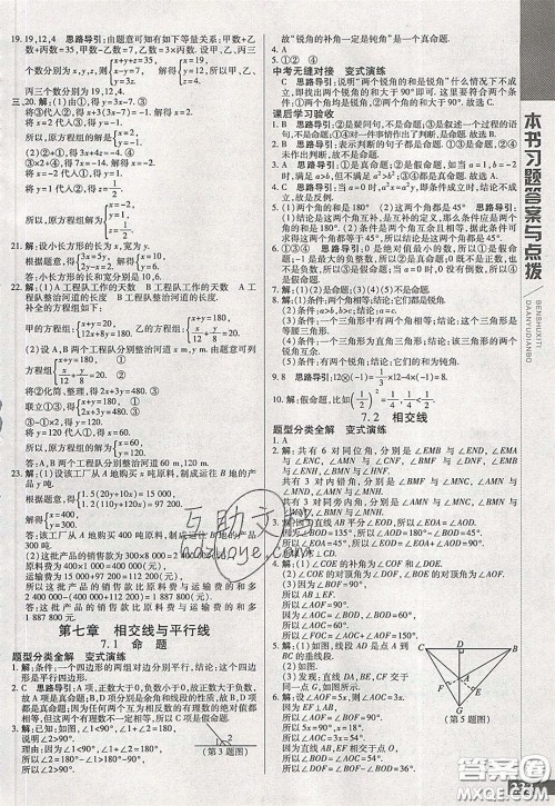 万向思维2020年倍速学习法七年级数学下冀教版参考答案