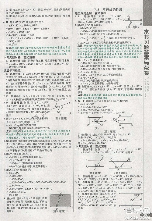 万向思维2020年倍速学习法七年级数学下冀教版参考答案