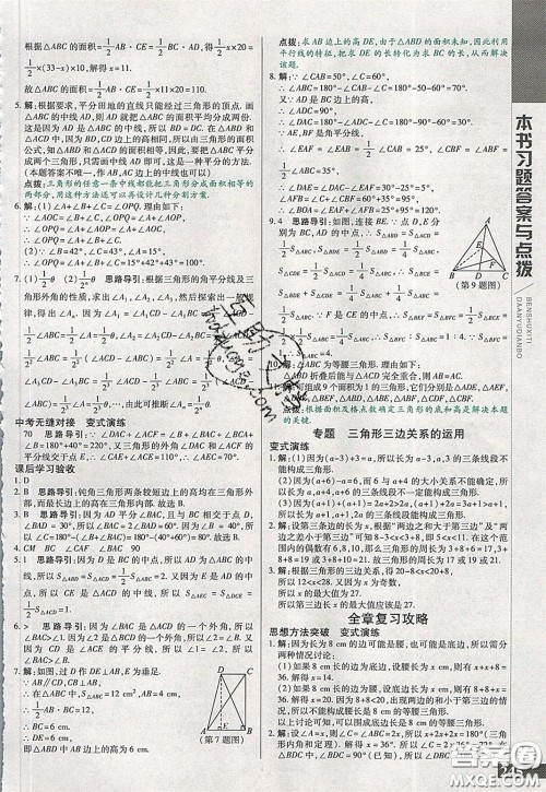 万向思维2020年倍速学习法七年级数学下冀教版参考答案