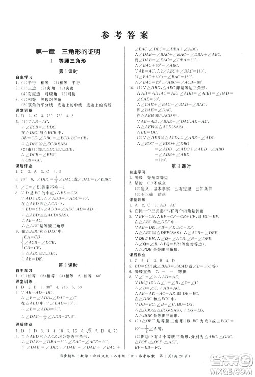 名师小课堂2020年同步精炼数学八年级下册北师大版参考答案