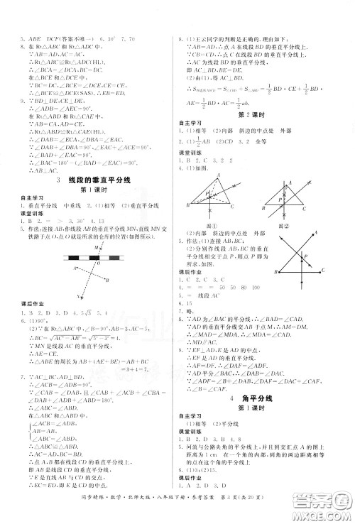 名师小课堂2020年同步精炼数学八年级下册北师大版参考答案