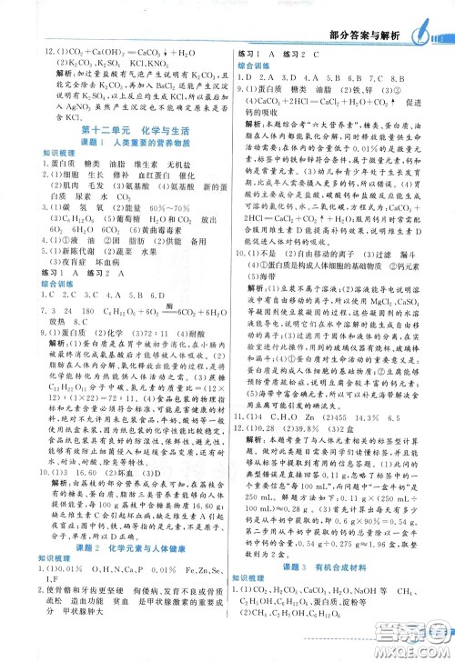 百年学典2020年同步导学与优化训练化学九年级下册人教版参考答案