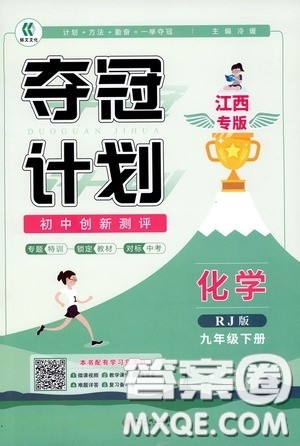 2020夺冠计划初中创新测评九年级化学下册人教版江西专版答案 2020夺冠计划初中创新测评九年级化学下册人教版江西专版答案