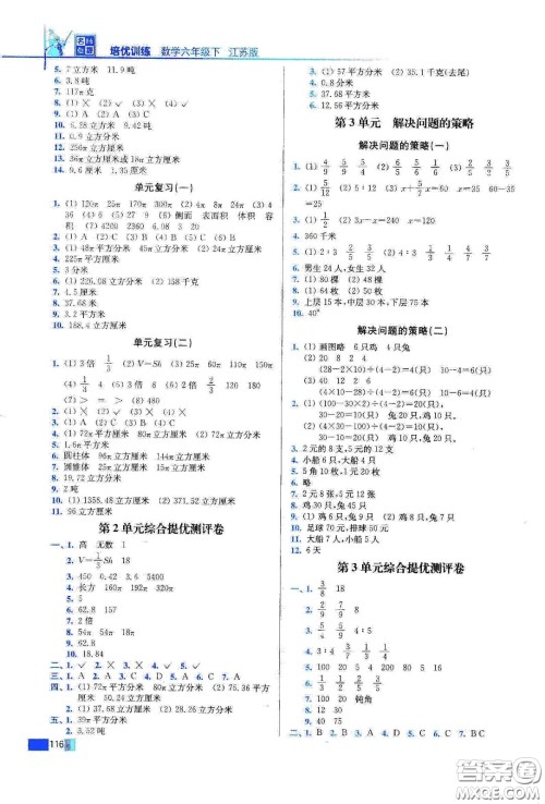 东南大学出版社2020名师点拨培优训练六年级数学下册江苏版答案