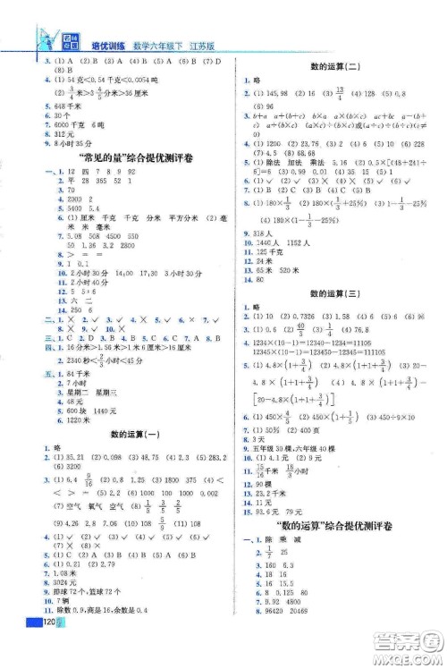 东南大学出版社2020名师点拨培优训练六年级数学下册江苏版答案