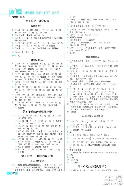 东南大学出版社2020名师点拨培优训练六年级数学下册江苏版答案