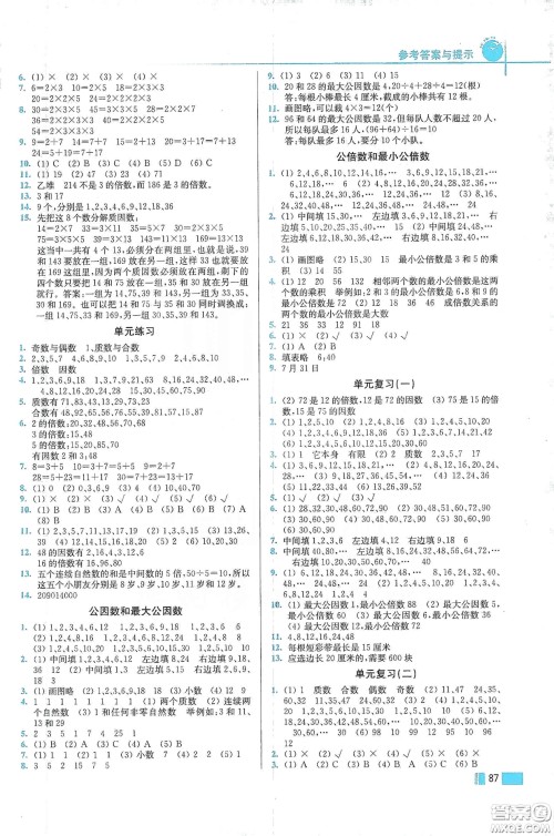 东南大学出版社2020名师点拨培优训练五年级数学下册江苏版答案 东南大学出版社2020名师点拨培优训练五年级数学下册江苏版答案
