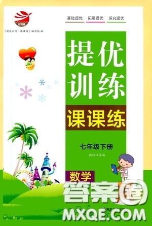 南京大学出版社2020提优训练课课练七年级数学下册课标江苏版答案