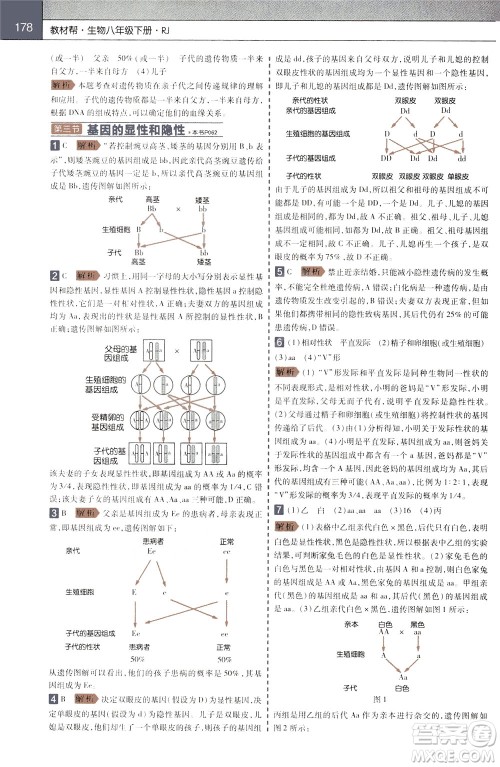 2020年教材帮初中生物八年级下册RJ人教版参考答案 2020年教材帮初中生物八年级下册RJ人教版参考答案