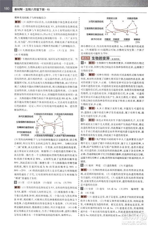 2020年教材帮初中生物八年级下册RJ人教版参考答案