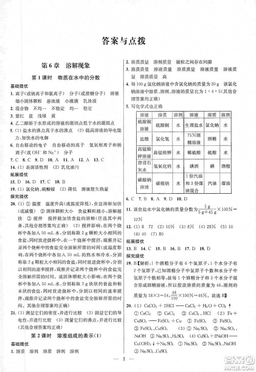 南京大学出版社2020提优训练课课练九年级化学下册国标上海版答案