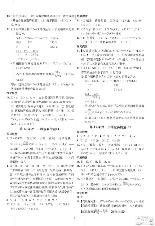 南京大学出版社2020提优训练课课练九年级化学下册国标上海版答案